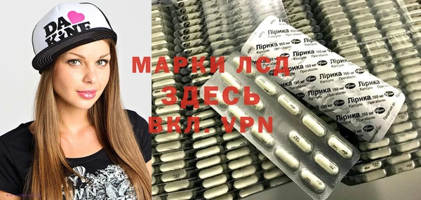 spice Алзамай