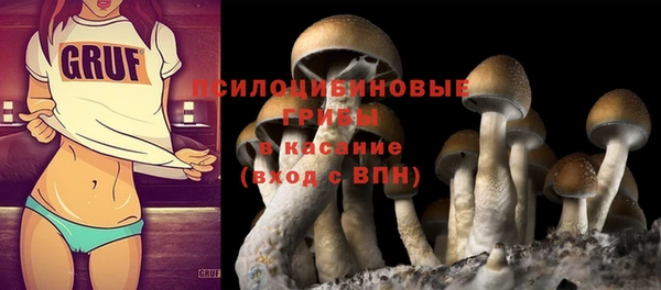 метадон Алексин